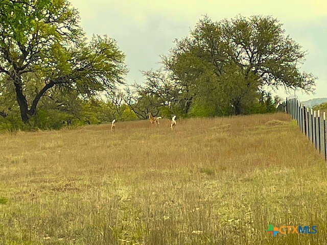 10655 E Trimmier Road Property Photo 5
