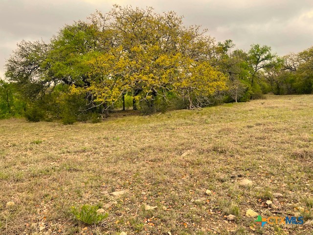 10655 E Trimmier Road Property Photo 6