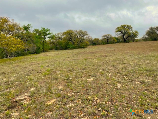 10655 E Trimmier Road Property Photo 7