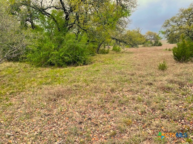 10655 E Trimmier Road Property Photo 8