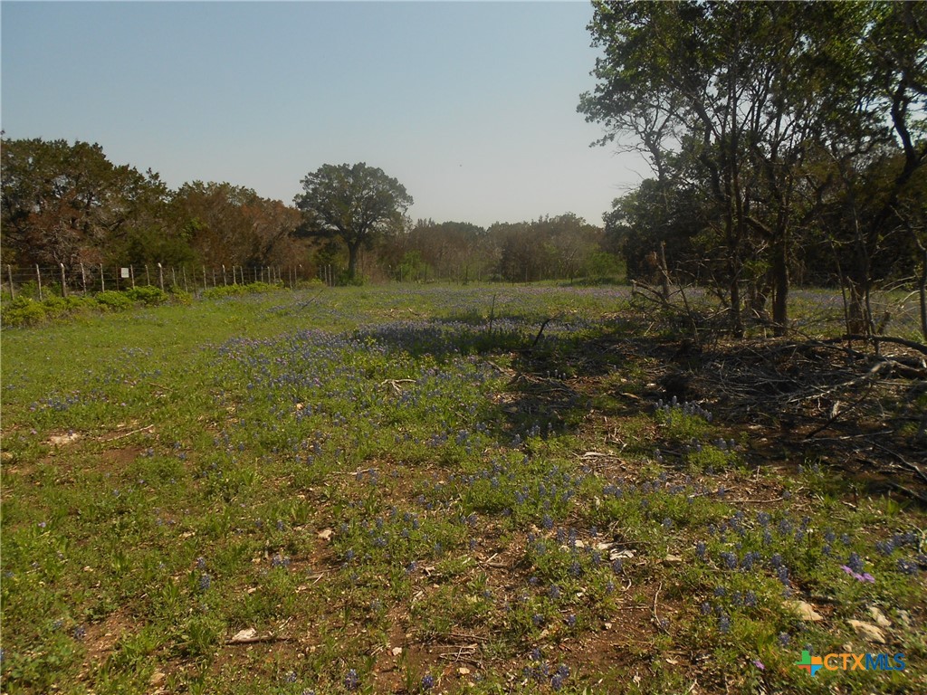 10655 E Trimmier Road Property Photo 9
