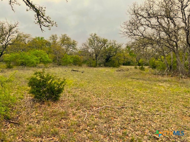 10655 E Trimmier Road Property Photo 10