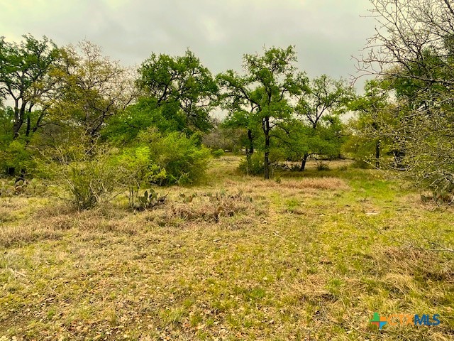 10655 E Trimmier Road Property Photo 11