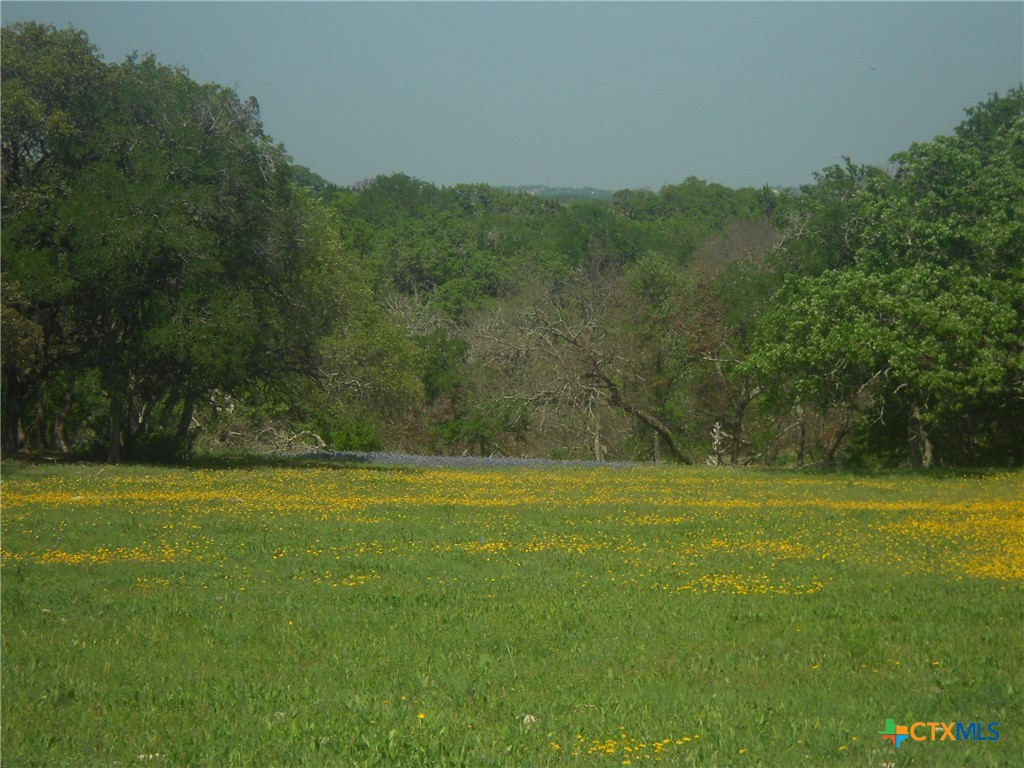 10655 E Trimmier Road Property Photo 14