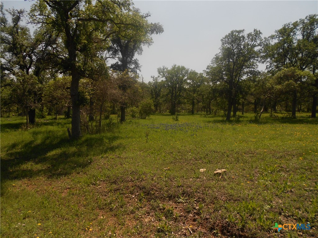 10655 E Trimmier Road Property Photo 15