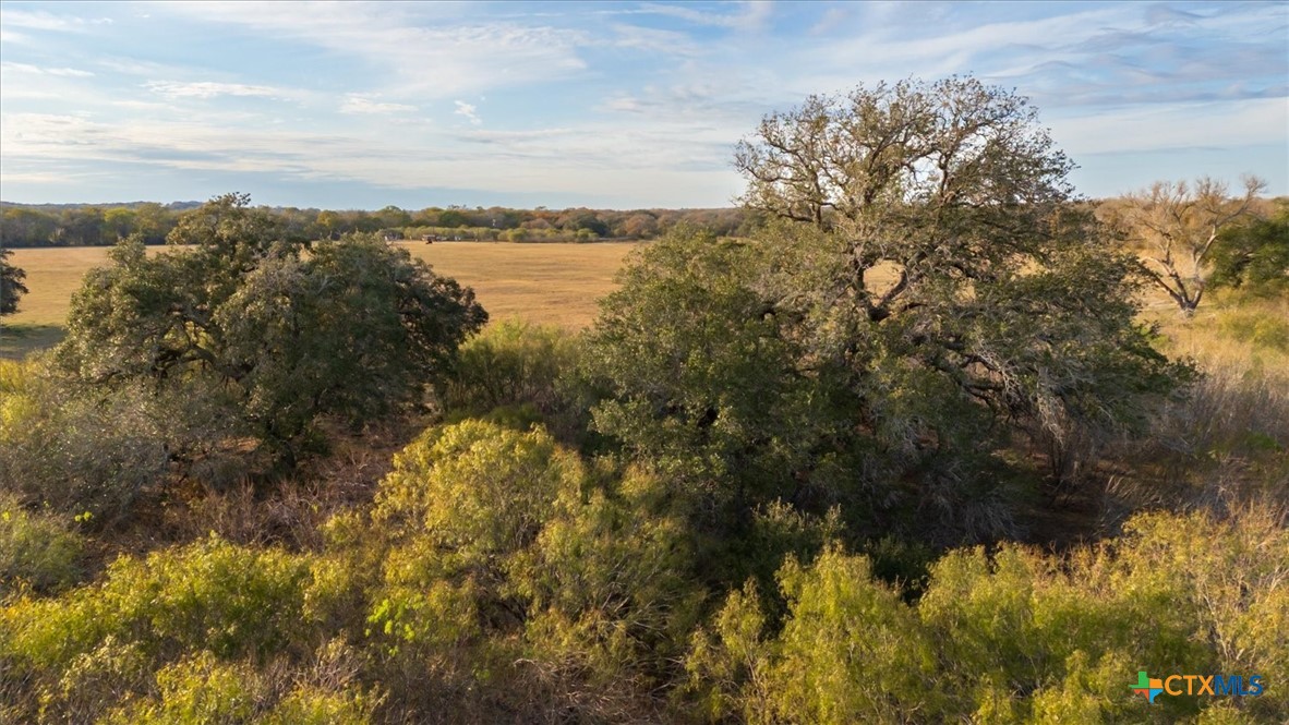 14858 Fm 1322 Property Photo 31