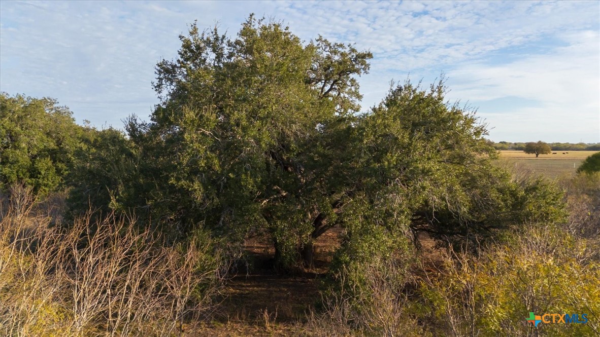 14858 Fm 1322 Property Photo 32