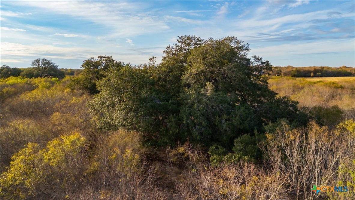 14858 Fm 1322 Property Photo 33
