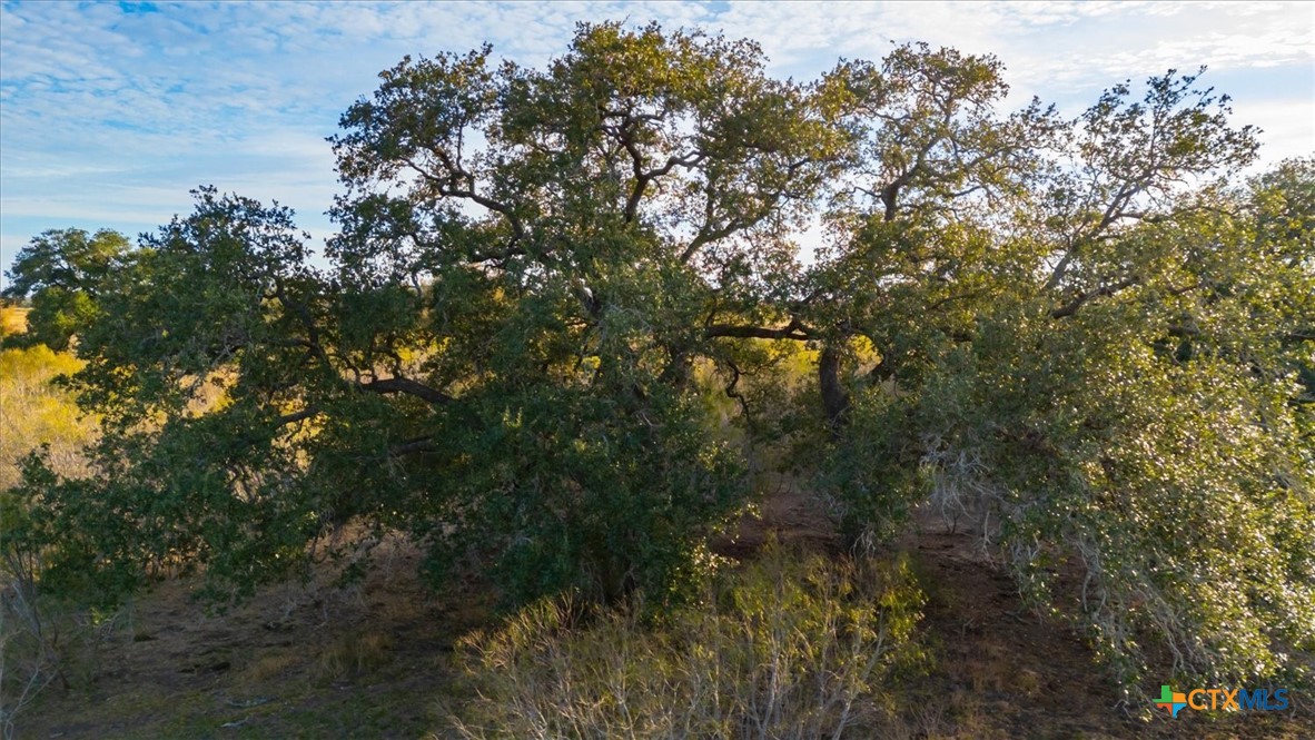 14858 Fm 1322 Property Photo 34