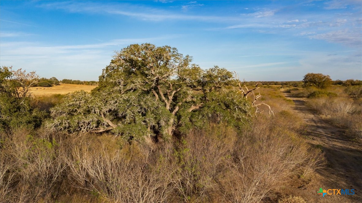 14858 Fm 1322 Property Photo 36