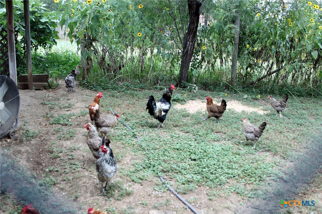 108 Mariana Drive Property Photo 5