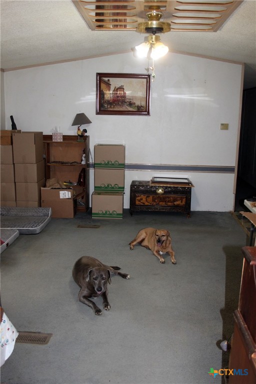 108 Mariana Drive Property Photo 24