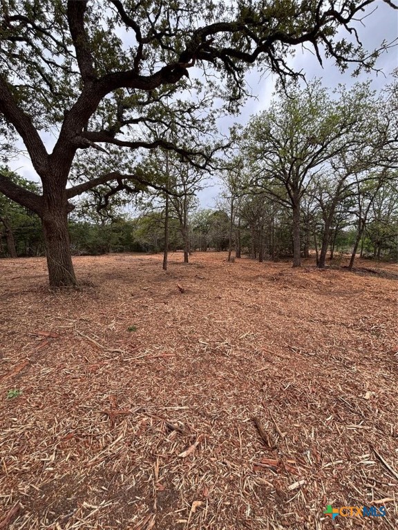 1686 Fm 2104 Property Photo 2