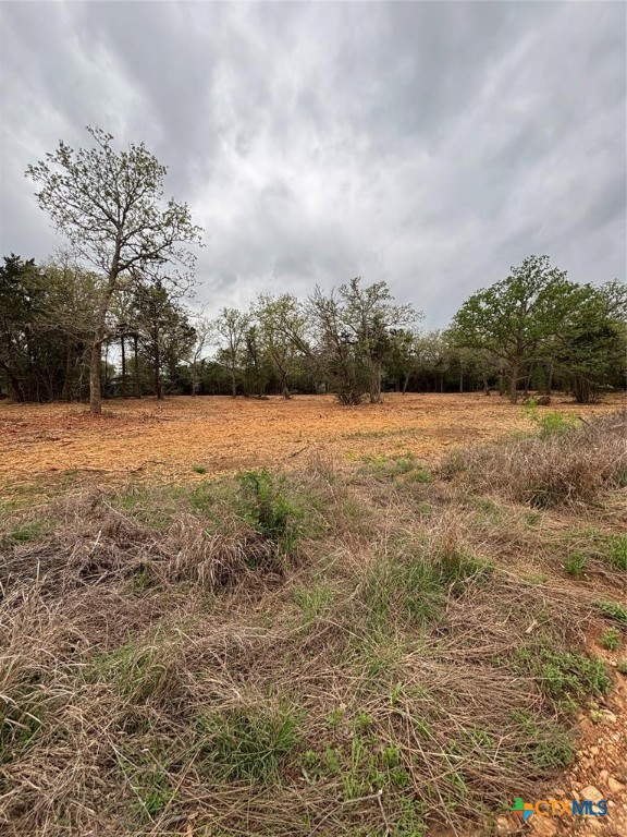 1686 Fm 2104 Property Photo 5