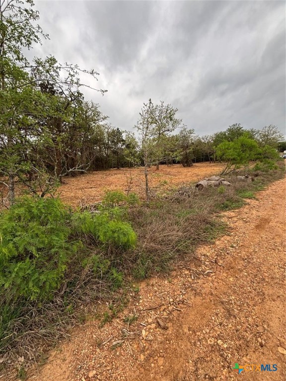 1686 Fm 2104 Property Photo 6