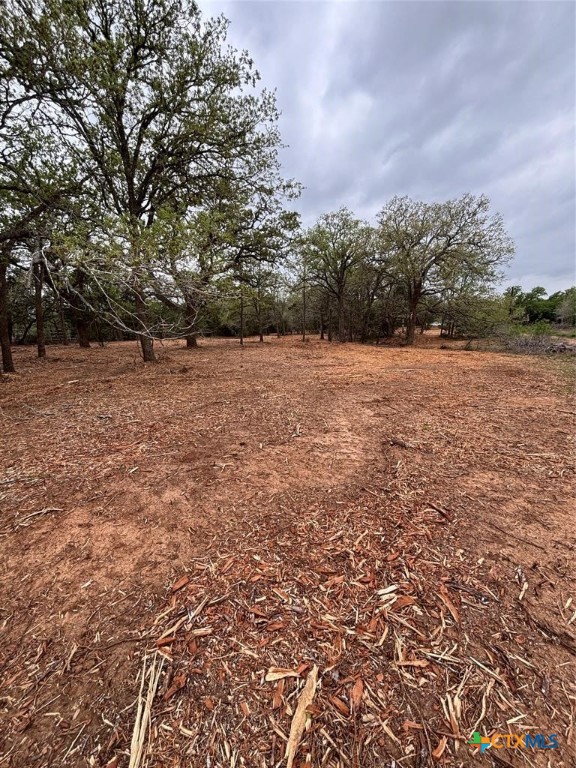 1686 Fm 2104 Property Photo 7