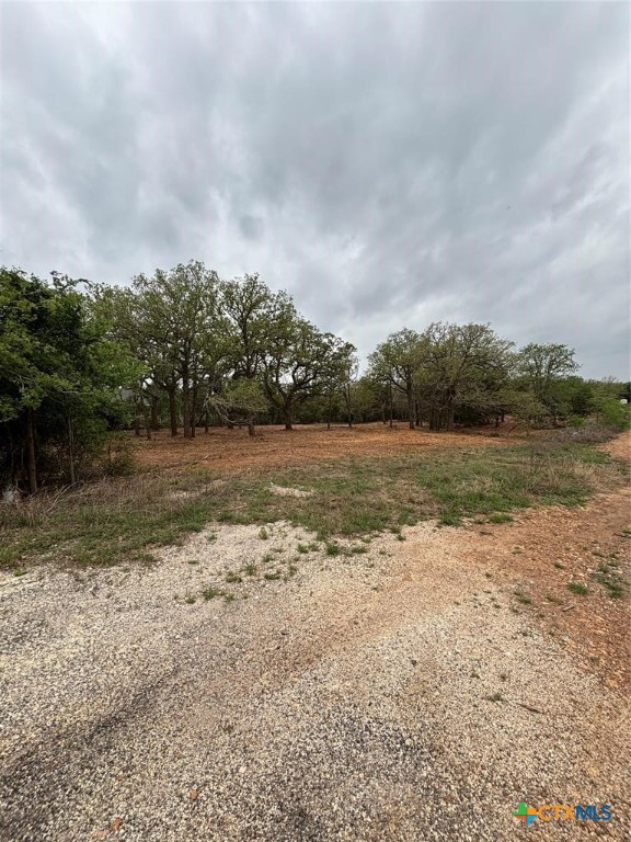1686 Fm 2104 Property Photo 9