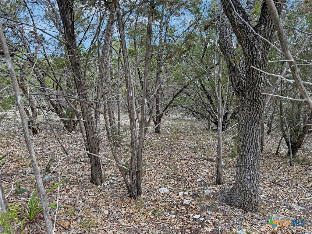 1081 Dog Leg Lane Property Photo 1