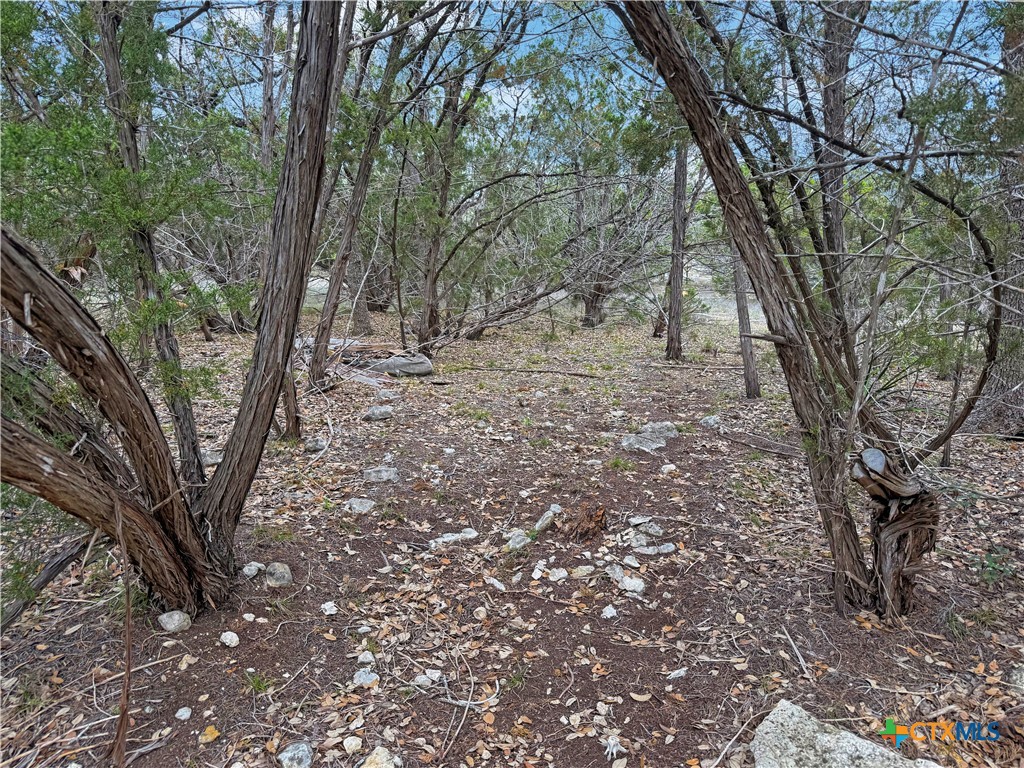 1081 Dog Leg Lane Property Photo 2