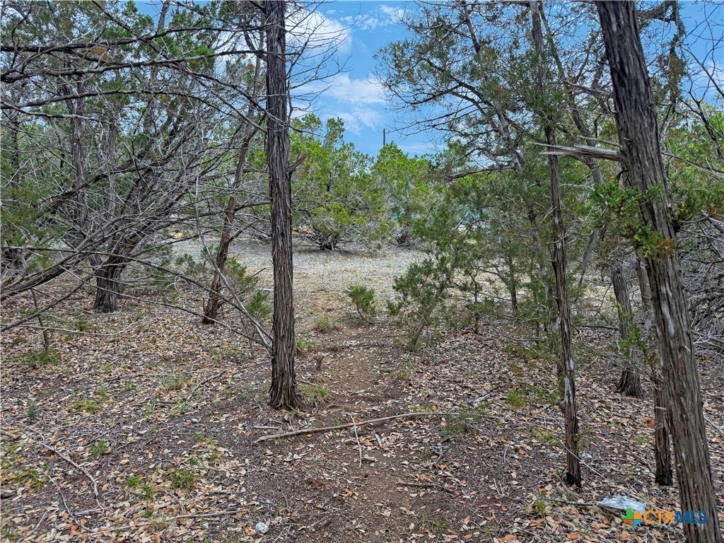 1081 Dog Leg Lane Property Photo 3