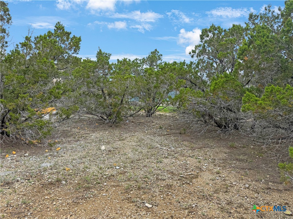 1081 Dog Leg Lane Property Photo 4
