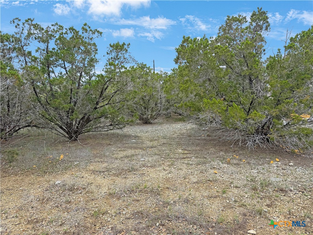 1081 Dog Leg Lane Property Photo 5