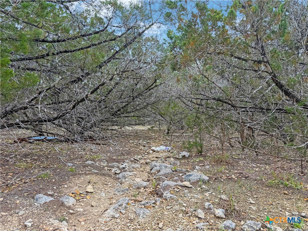 1081 Dog Leg Lane Property Photo 6