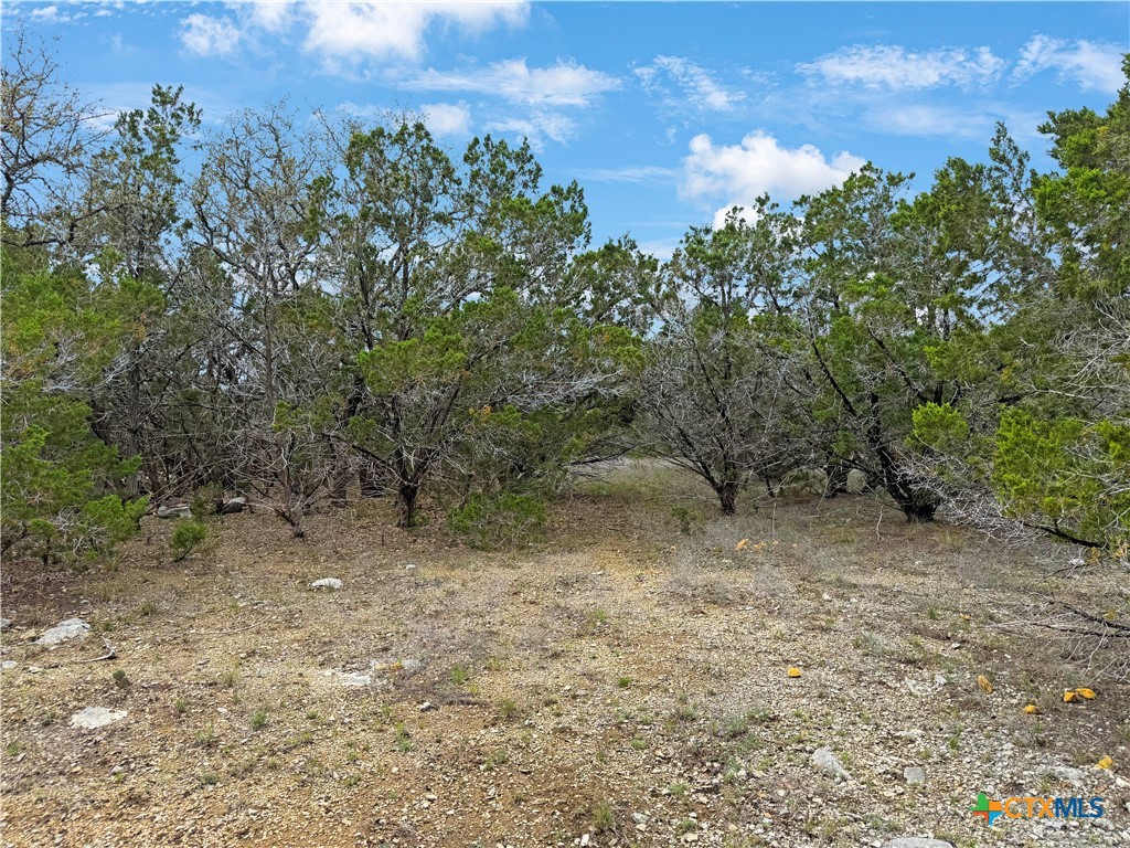 1081 Dog Leg Lane Property Photo 7