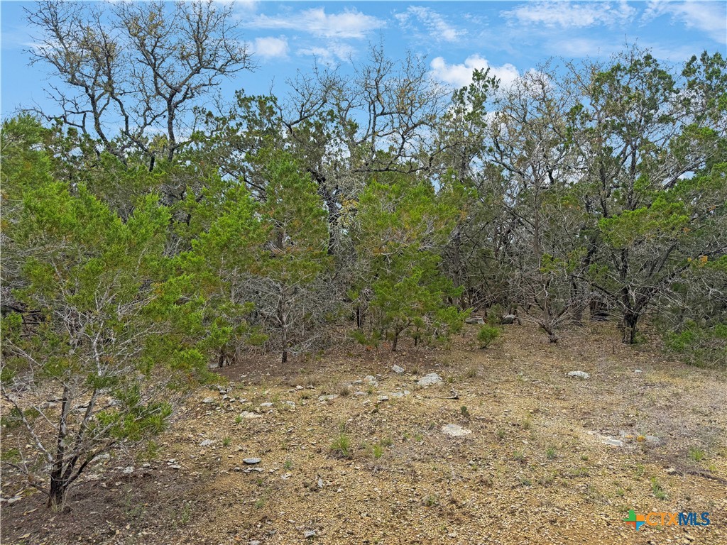 1081 Dog Leg Lane Property Photo 8