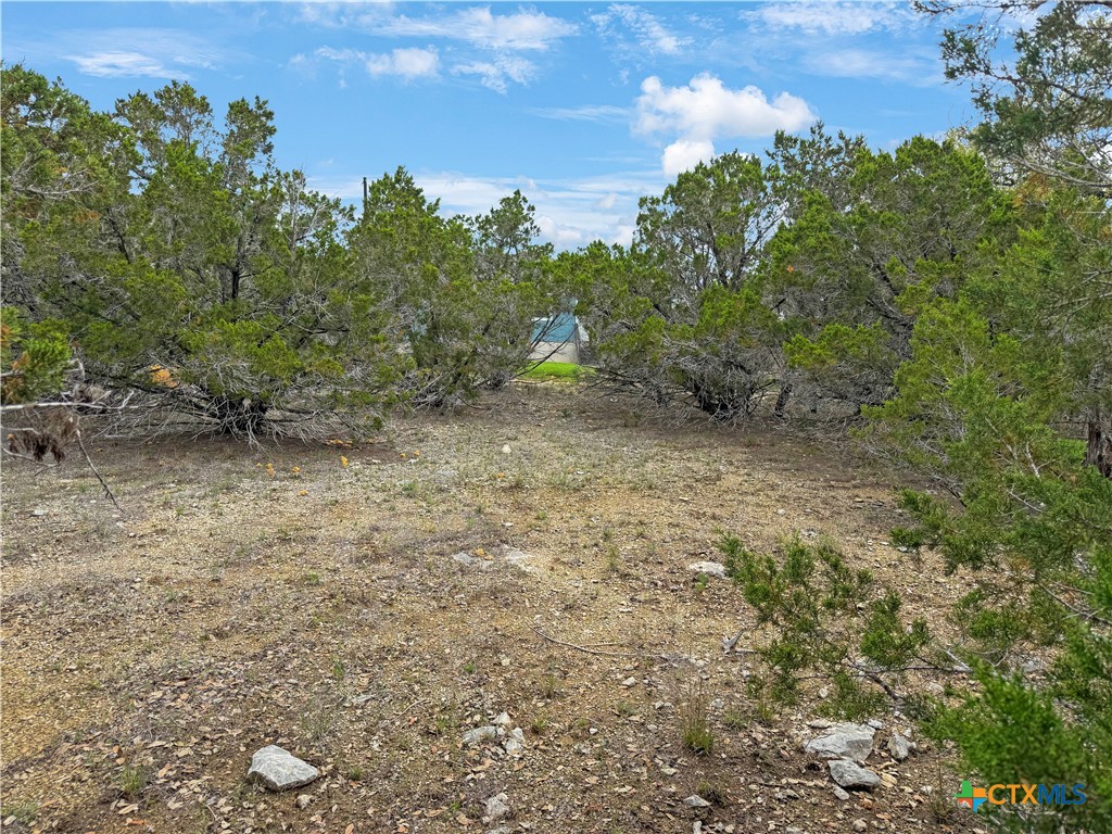 1081 Dog Leg Lane Property Photo 9
