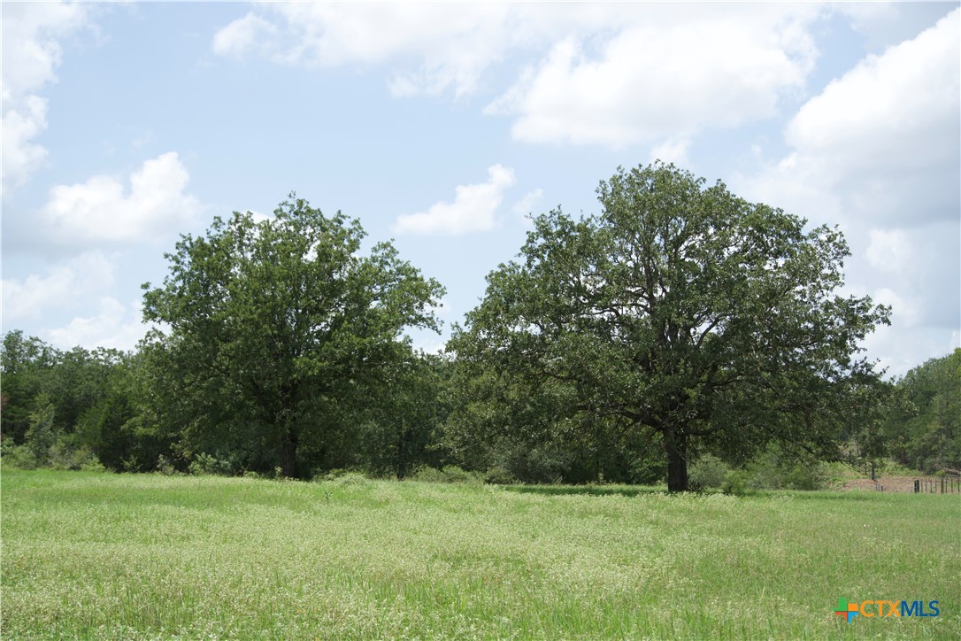 Tbd St Delight (tract 5) Road Property Photo 4