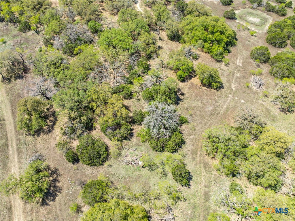 Tbd-tract 4 Cr 421 Property Photo 13