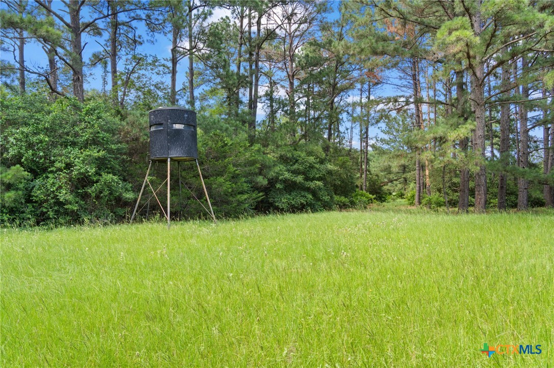 Tbd (tracts 11 & 12) St Delight Road Property Photo 1