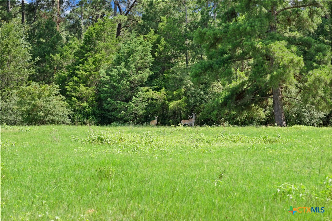 Tbd (tracts 11 & 12) St Delight Road Property Photo 2