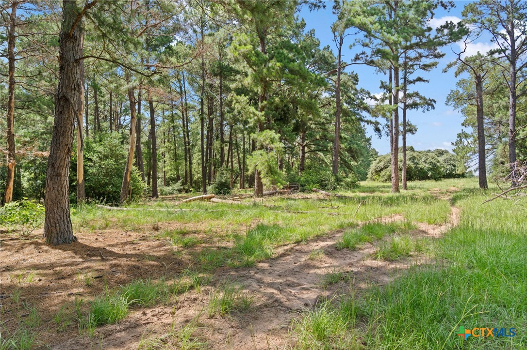 Tbd (tracts 11 & 12) St Delight Road Property Photo 5