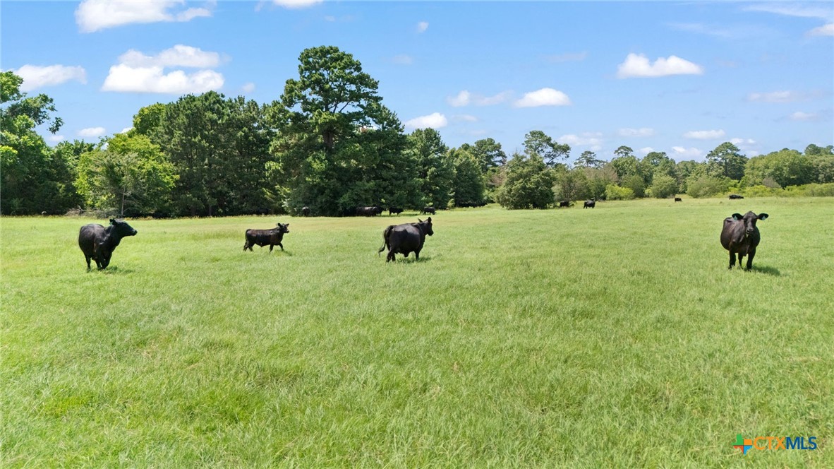Tbd (tracts 11 & 12) St Delight Road Property Photo 7