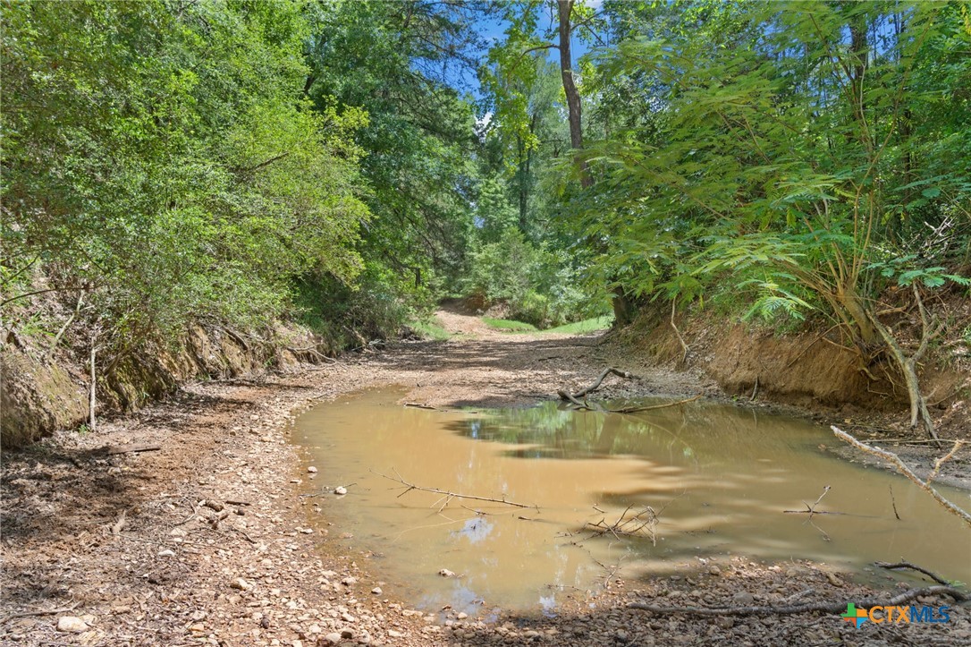 Tbd (tracts 11 & 12) St Delight Road Property Photo 16