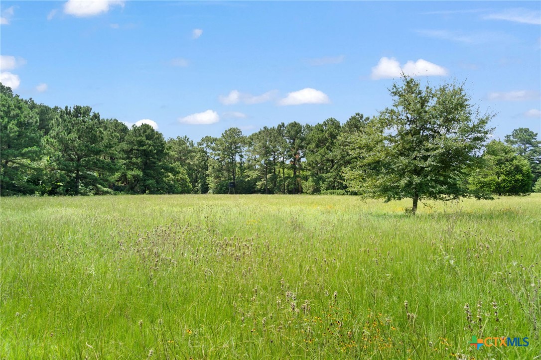 Tbd (tracts 11 & 12) St Delight Road Property Photo 18