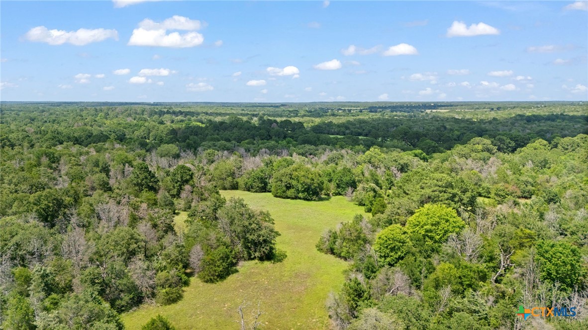 Tbd (tracts 11 & 12) St Delight Road Property Photo 19