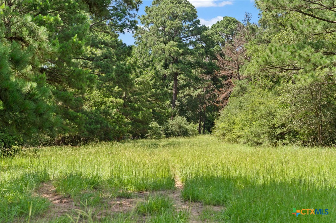 Tbd (tracts 11 & 12) St Delight Road Property Photo 23