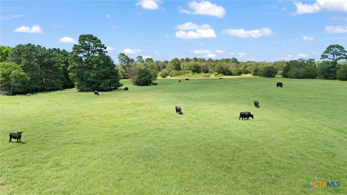 Tbd (tracts 11 & 12) St Delight Road Property Photo 32