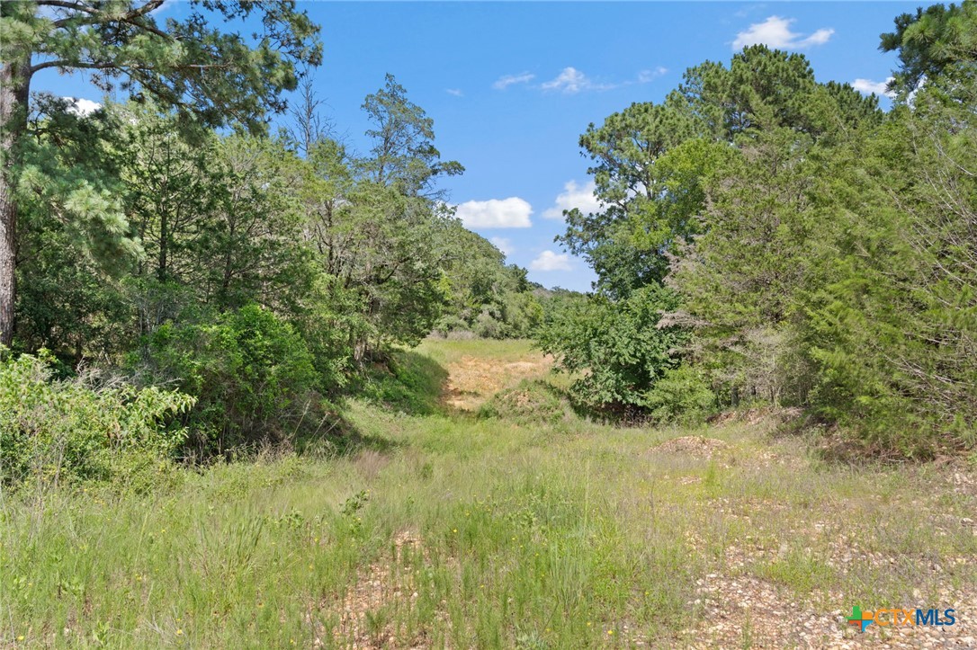 Tbd (tracts 11 & 12) St Delight Road Property Photo 34