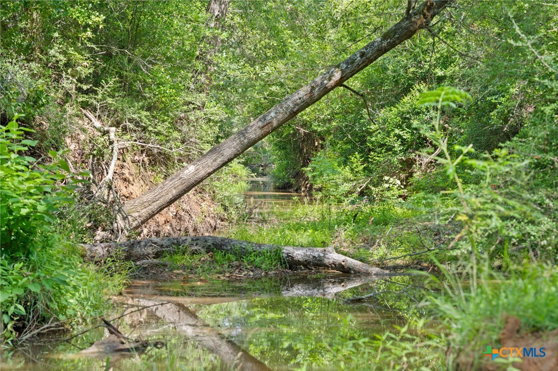 Tbd (tracts 11 & 12) St Delight Road Property Photo 36