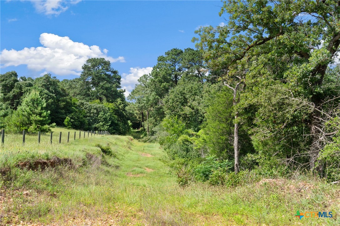 Tbd (tracts 11 & 12) St Delight Road Property Photo 37