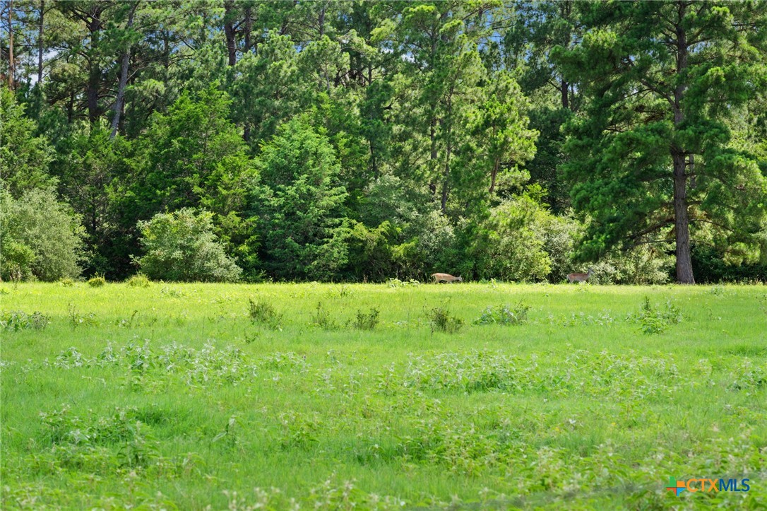 Tbd (tracts 11 & 12) St Delight Road Property Photo 41