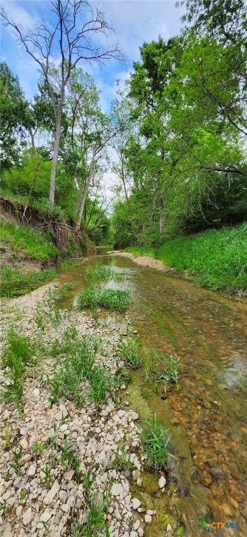 Tbd Rosanky Rd, Tract 4 Property Photo 2