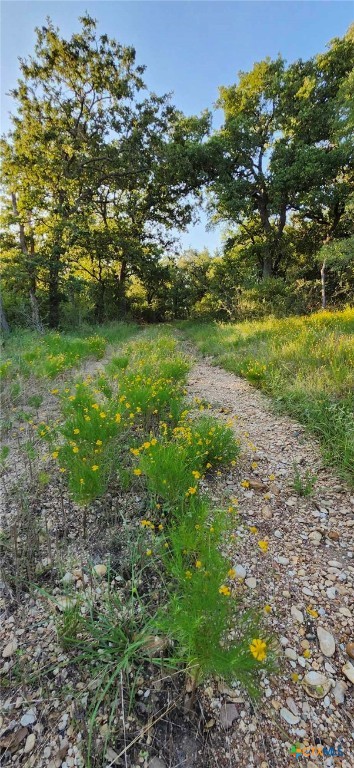 Tbd Rosanky Rd, Tract 4 Property Photo 3