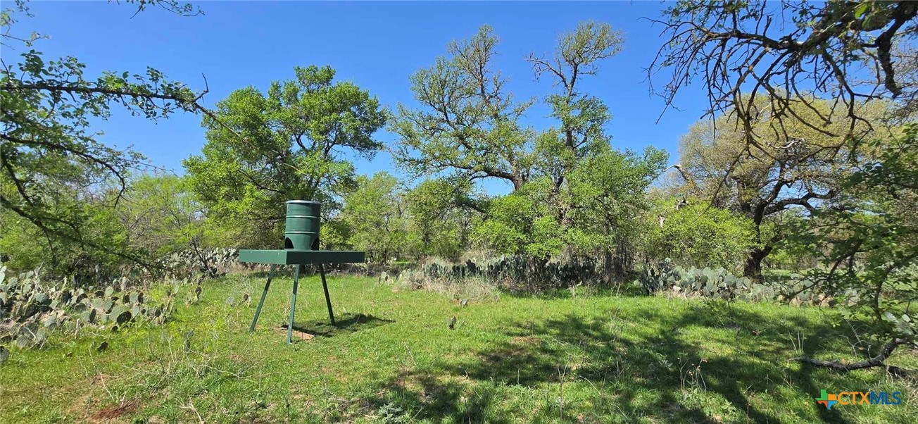 Tbd Rosanky Rd, Tract 4 Property Photo 5