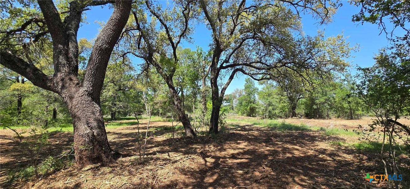 Tbd Rosanky Rd, Tract 4 Property Photo 6