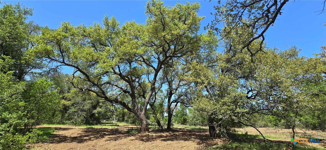 Tbd Rosanky Rd, Tract 4 Property Photo 7